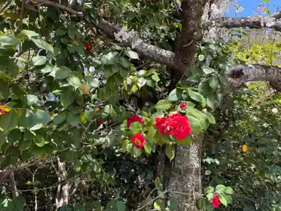 聖天宮 西江寺(大阪府)