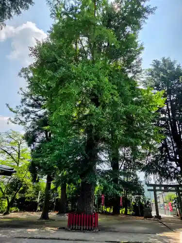 八坂神社（葛生町）(栃木県)