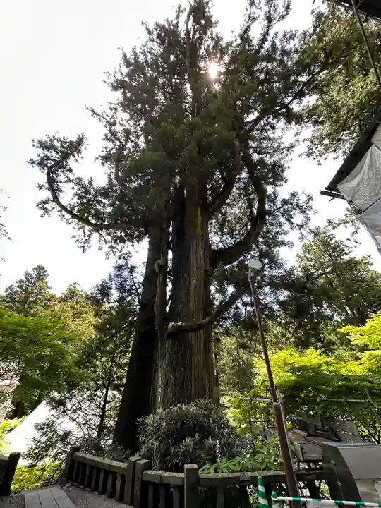 榛名神社の自然