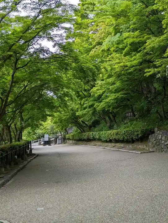 清水寺(京都府)