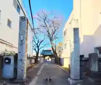 理性寺の{uncategorized: "未分類", other: "その他", undefined: "問題あり", building: "その他建物", grave: "お墓", sacred_gate: "鳥居", guardian: "狛犬", statue: "像", buddha: "仏像", history: "歴史", nature: "自然", garden: "庭園", animal: "動物", pagoda: "塔", temizu: "手水舎", mountain_gate: "山門・神門", sanctuary: "本殿・本堂", subordinate: "末社・摂社", art: "芸術", scenery: "景色", jizo: "地蔵", ema: "絵馬", goshuin: "御朱印", omikuji: "おみくじ", items: "授与品その他", amulet: "お守り", goshuincho: "御朱印帳", eats: "食事", festival: "お祭り", votive_dance: "神楽", shichigosan: "七五三参", wedding: "結婚式", experience: "体験その他", initially: "初詣", around: "周辺", anti_infection: "感染症対策"}