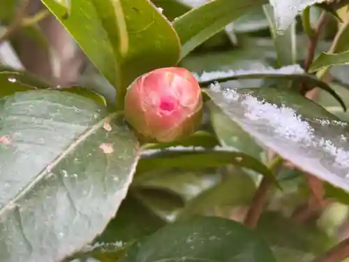 伊勢の国 四天王寺(三重県)