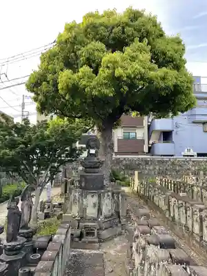 浄名院(東京都)
