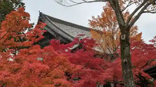 真正極楽寺（真如堂）(京都府)