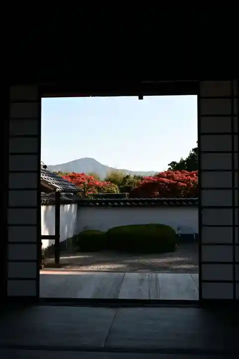 正伝護国禅寺(正伝寺・正傳寺)(京都府)