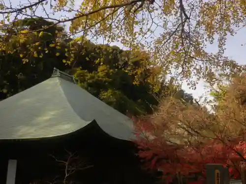 長勝寺の景色