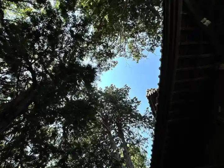 岩崎神社(長野県)