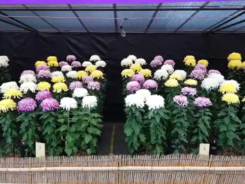 宗像大社(福岡県)