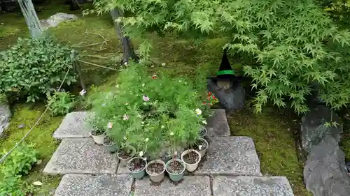 勝林寺(京都府)