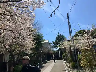 小動神社の{uncategorized: "未分類", other: "その他", undefined: "問題あり", building: "その他建物", grave: "お墓", sacred_gate: "鳥居", guardian: "狛犬", statue: "像", buddha: "仏像", history: "歴史", nature: "自然", garden: "庭園", animal: "動物", pagoda: "塔", temizu: "手水舎", mountain_gate: "山門・神門", sanctuary: "本殿・本堂", subordinate: "末社・摂社", art: "芸術", scenery: "景色", jizo: "地蔵", ema: "絵馬", goshuin: "御朱印", omikuji: "おみくじ", items: "授与品その他", amulet: "お守り", goshuincho: "御朱印帳", eats: "食事", festival: "お祭り", votive_dance: "神楽", shichigosan: "七五三参", wedding: "結婚式", experience: "体験その他", initially: "初詣", around: "周辺", anti_infection: "感染症対策"}