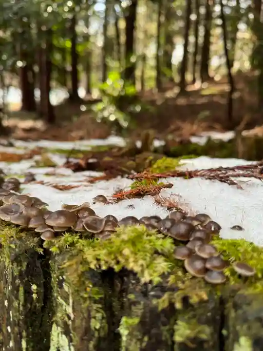 鹿島大神宮(福島県)
