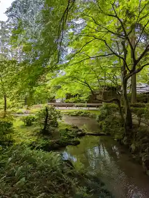 南禅院(京都府)