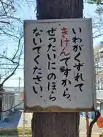 稲荷神社の御朱印