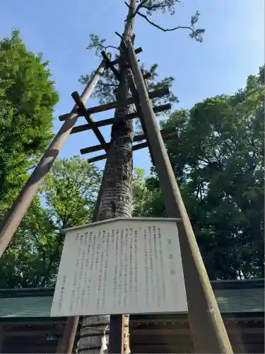 荻窪八幡神社(東京都)