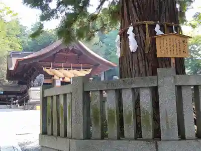 諏訪大社下社秋宮(長野県)