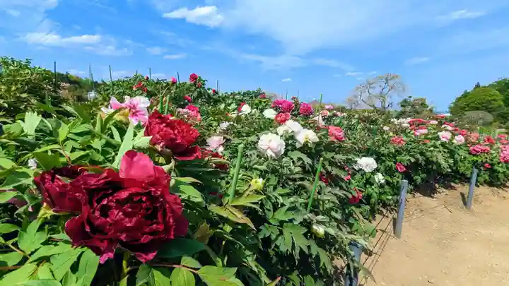 金蛇水神社(宮城県)