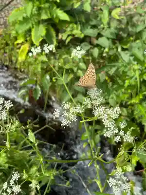 諏訪大社上社前宮(長野県)