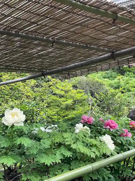 東長谷寺 薬王院(東京都)