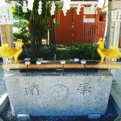 富岡八幡宮の手水舎