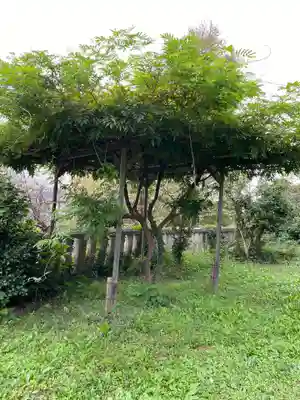 八雲神社(緑町)(栃木県)