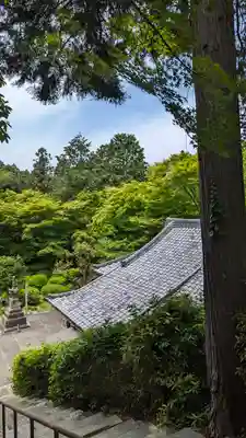 来迎院(京都府)
