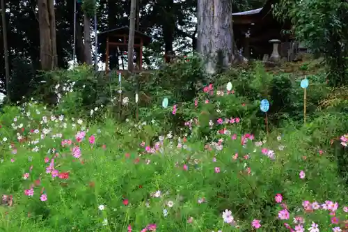 阿久津「田村神社」（郡山市阿久津町）旧社名：伊豆箱根三嶋三社の庭園