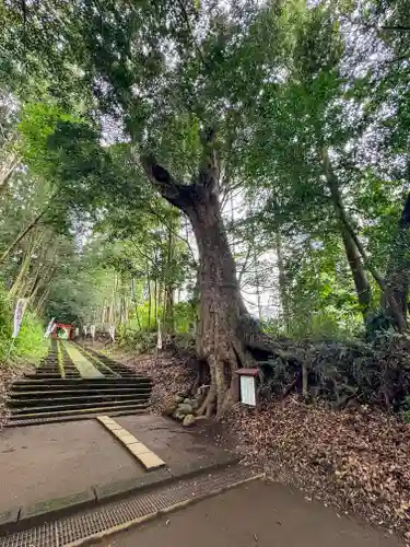 霧島岑神社(宮崎県)