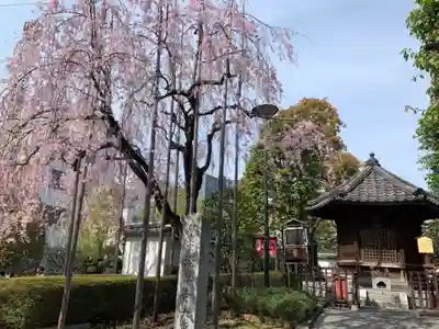 浅草寺のその他建物