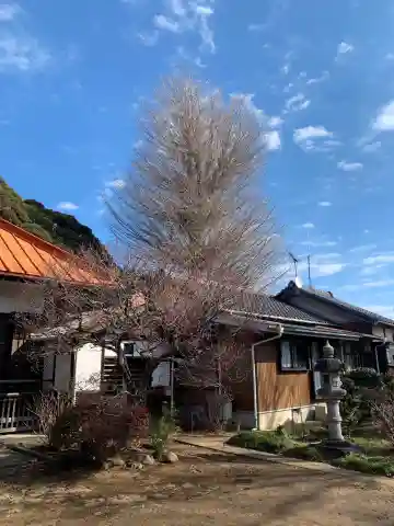 千手院のその他建物