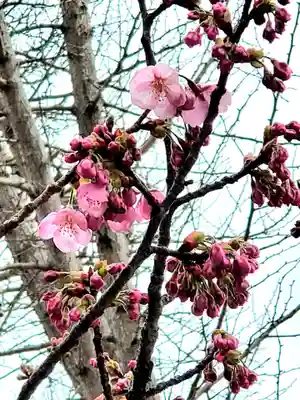 阿邪訶根神社(福島県)