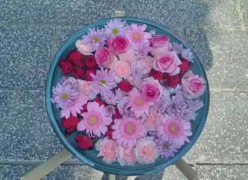 大念佛寺(大阪府)