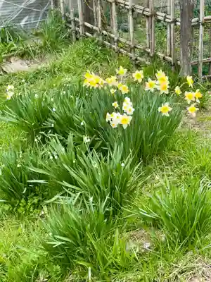 春日神社(京都府)