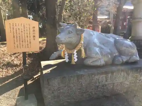 冨士御室浅間神社の狛犬