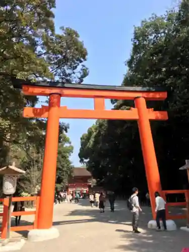 賀茂御祖神社（下鴨神社）の鳥居