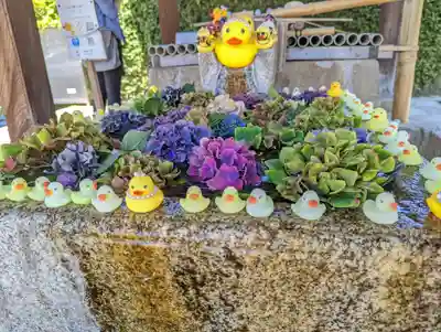 くろ谷 金戒光明寺(京都府)