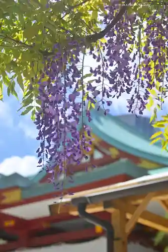 日枝神社(東京都)