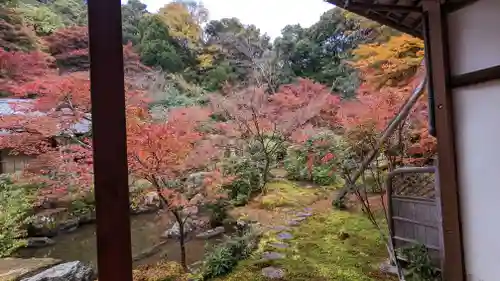 実相院門跡(京都府)