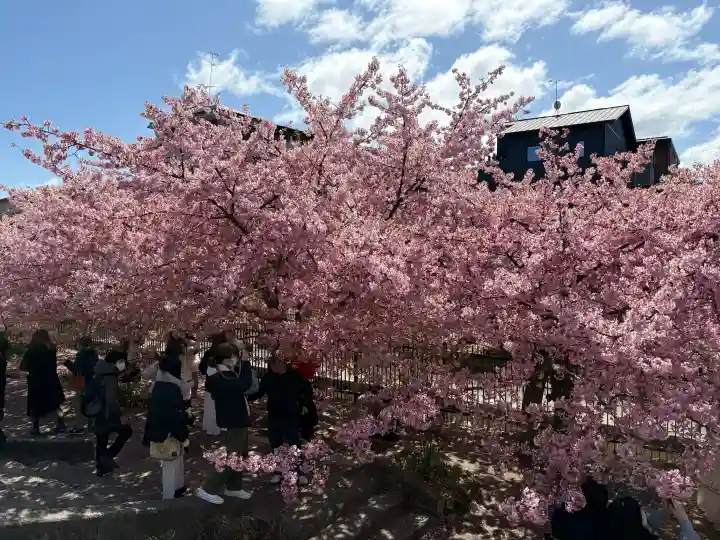 長円寺の{uncategorized: "未分類", other: "その他", undefined: "問題あり", building: "その他建物", grave: "お墓", sacred_gate: "鳥居", guardian: "狛犬", statue: "像", buddha: "仏像", history: "歴史", nature: "自然", garden: "庭園", animal: "動物", pagoda: "塔", temizu: "手水舎", mountain_gate: "山門・神門", sanctuary: "本殿・本堂", subordinate: "末社・摂社", art: "芸術", scenery: "景色", jizo: "地蔵", ema: "絵馬", goshuin: "御朱印", omikuji: "おみくじ", items: "授与品その他", amulet: "お守り", goshuincho: "御朱印帳", eats: "食事", festival: "お祭り", votive_dance: "神楽", shichigosan: "七五三参", wedding: "結婚式", experience: "体験その他", initially: "初詣", around: "周辺", anti_infection: "感染症対策"}