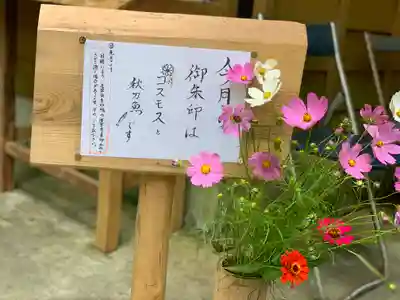 須山浅間神社(静岡県)