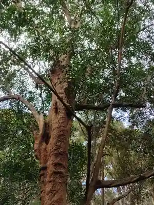 豊浦神社(三重県)