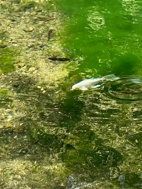 涌釜神社(栃木県)