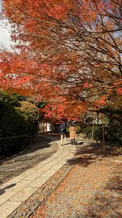 龍安寺(京都府)
