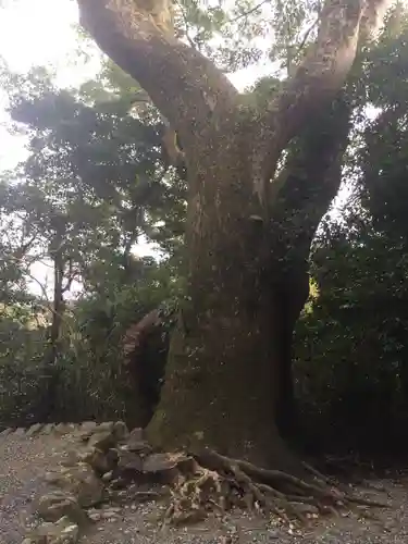 葭原神社（皇大神宮末社）の自然