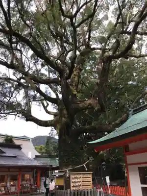 熊野那智大社のその他建物