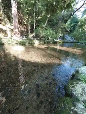賀茂別雷神社（上賀茂神社）(京都府)