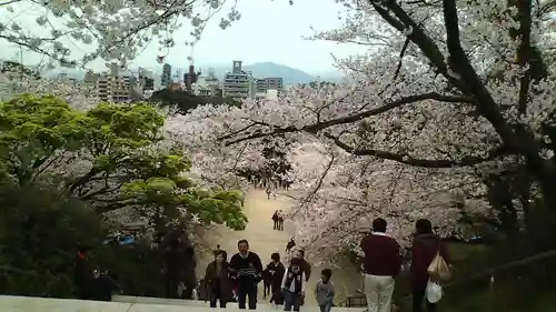 光雲神社(福岡県)