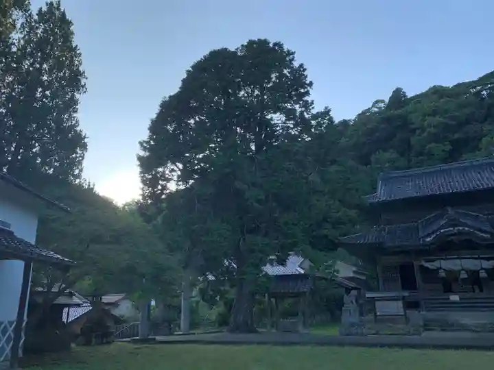 城上神社の自然