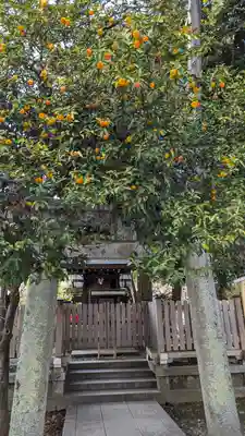 北野天満宮(京都府)