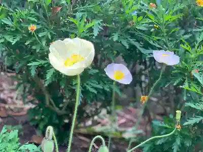 曽我浅間神社の自然