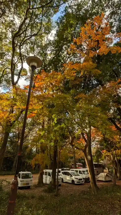 賀茂御祖神社(下鴨神社)(京都府)